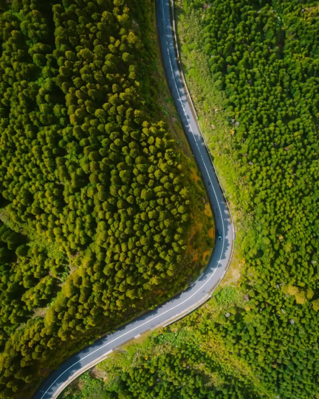 Roads Strategic Focus
