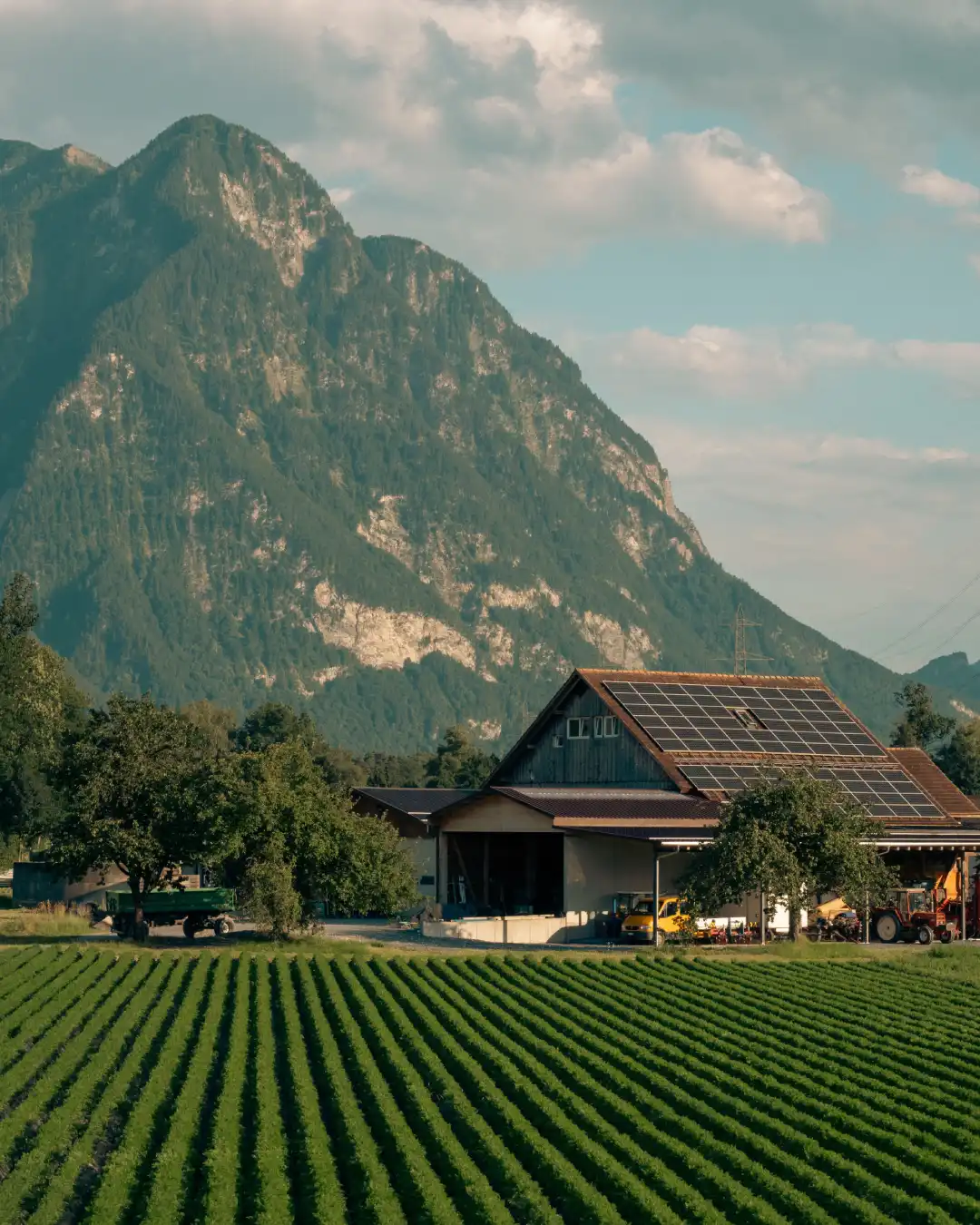 Agriculture Strategic Focus