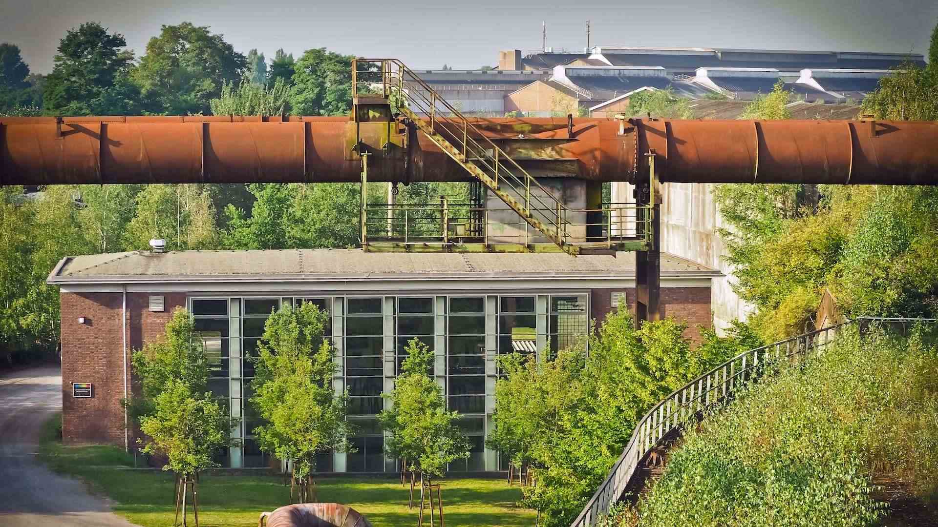 新加坡润滑油咨询