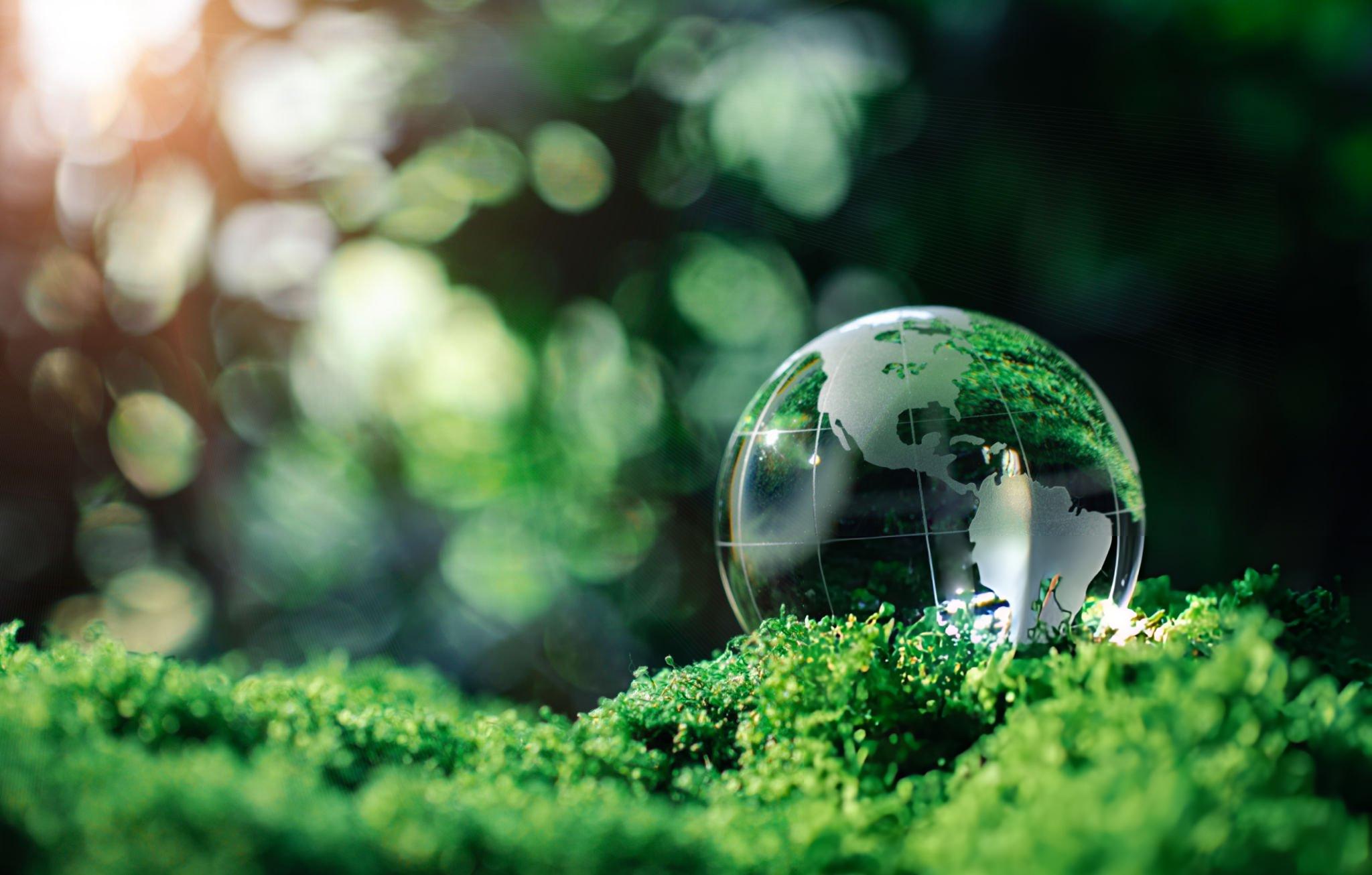 Vietnam Sustainable Finance Framework (ICMA/LMA) Consulting