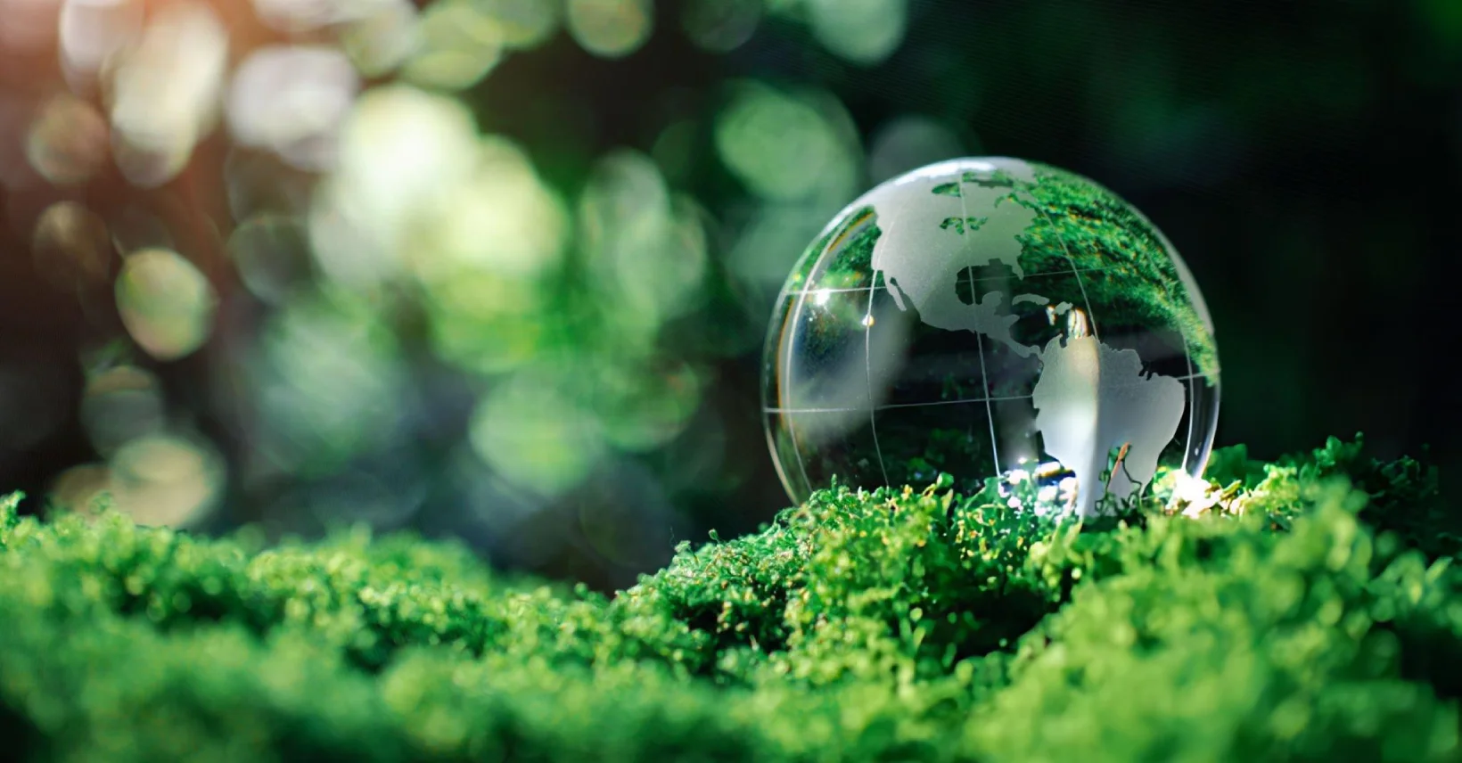 Asia Waste Management Strategy Consulting