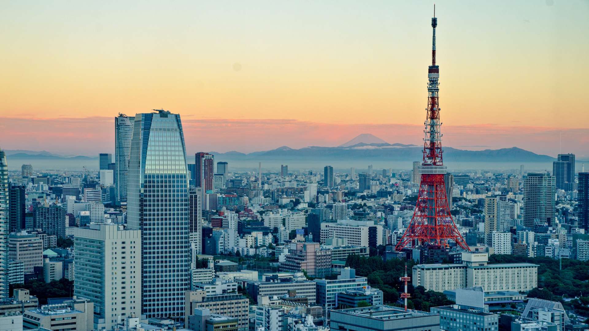 Japan Consulting