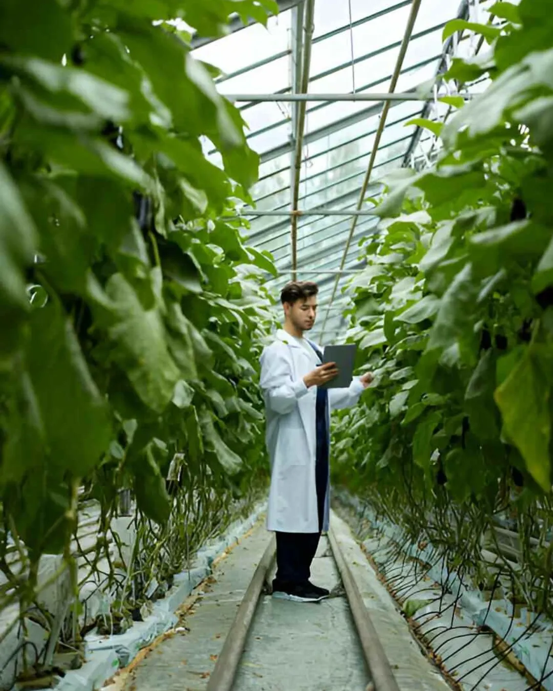 Sustainable Agriculture Deliverables