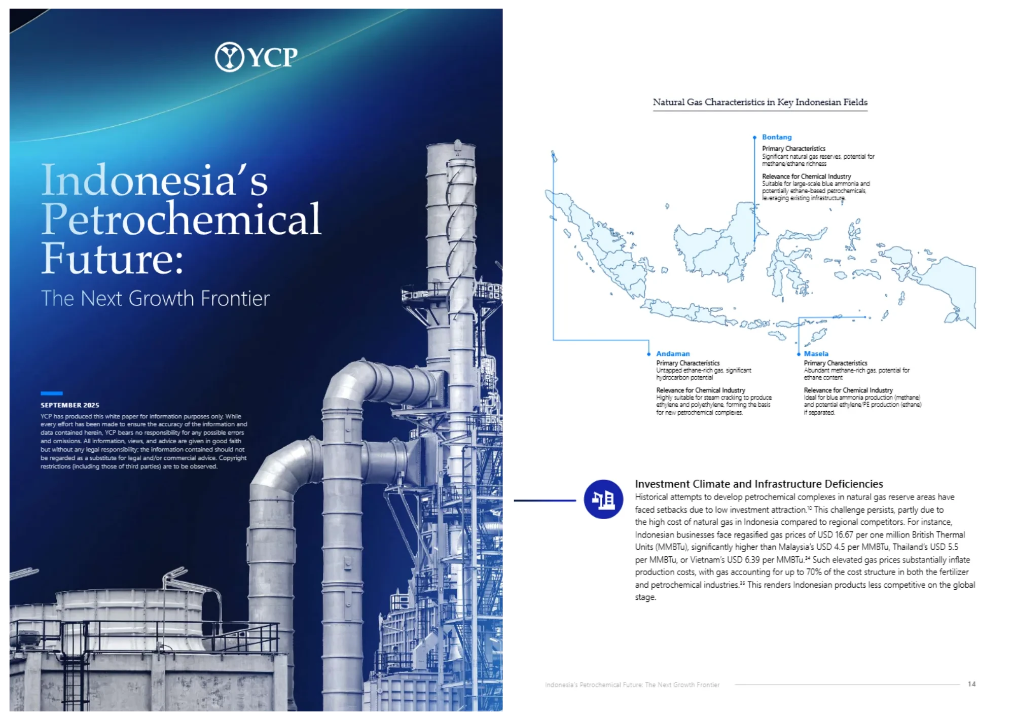 Indonesia's Petrochemical Future: The Next Growth Frontier