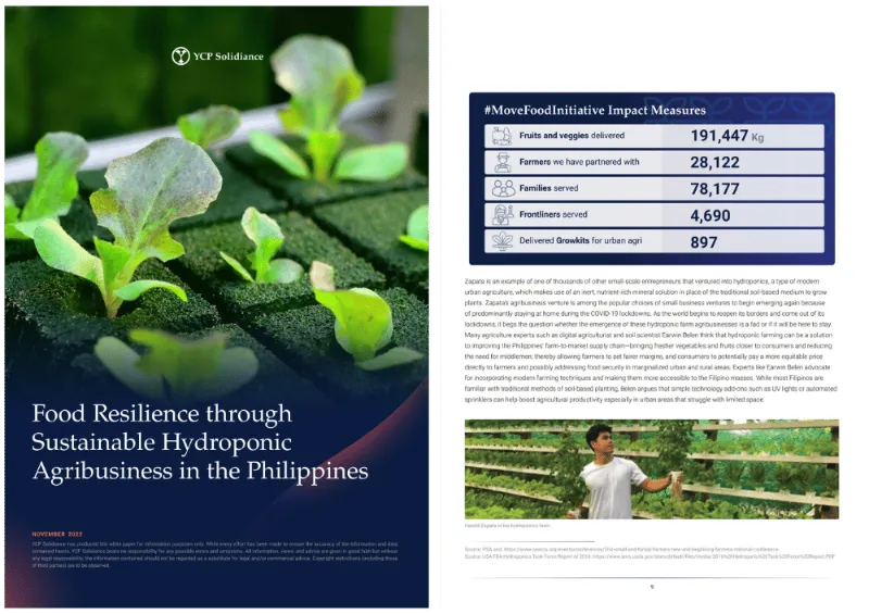 通过可持续水培农业实现菲律宾粮食韧性
