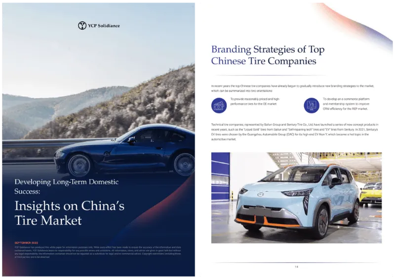 培育长期的国内成功：中国轮胎市场的洞察