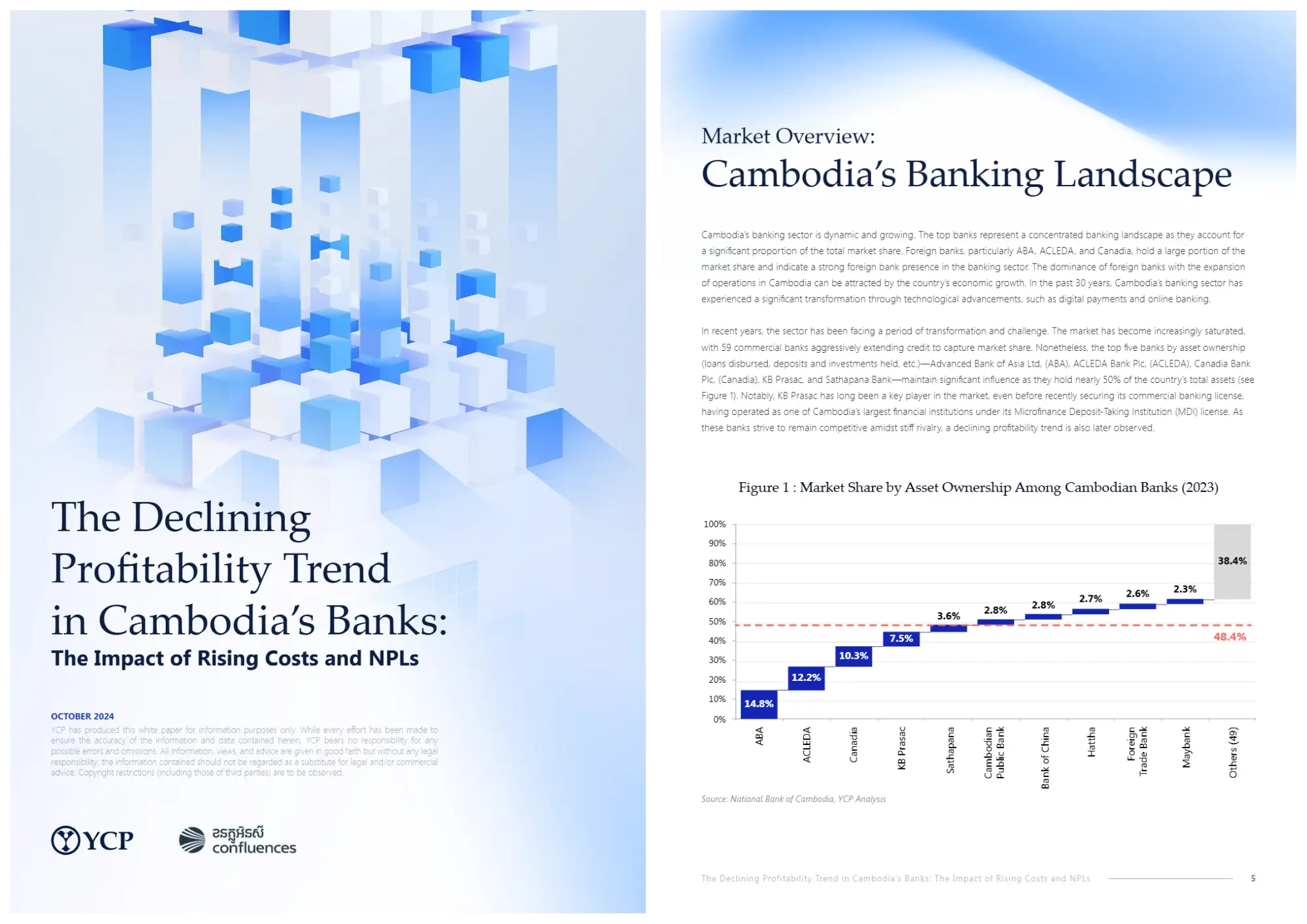 柬埔寨银行盈利能力下滑趋势：成本上升与不良贷款的影响